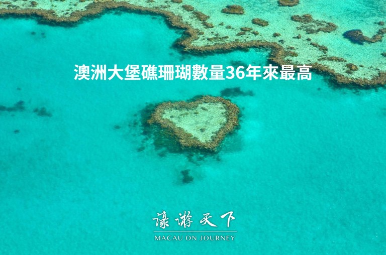 澳洲大堡礁珊瑚數量36年來最高 | 濠遊天下 Macau on Journey,
