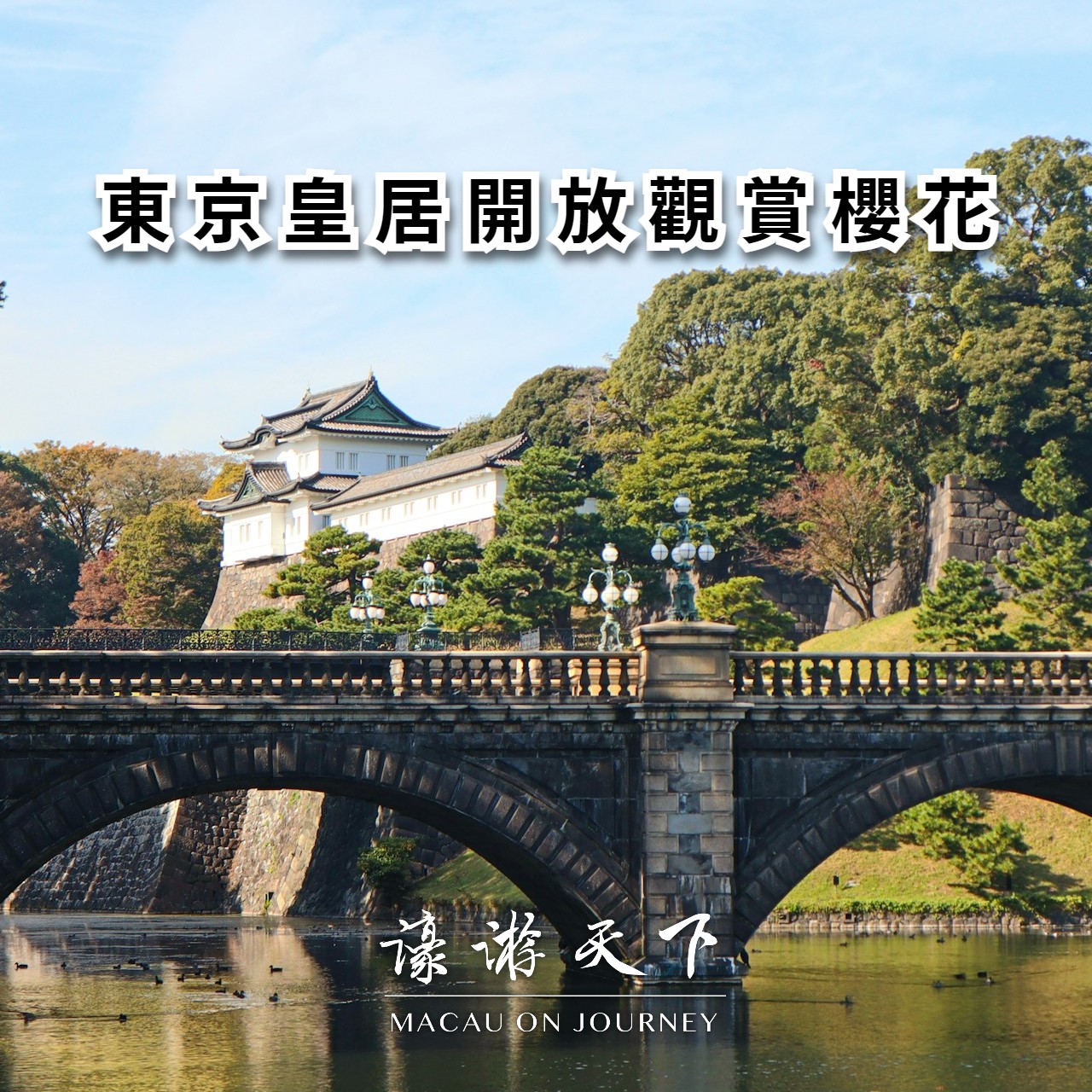 東京皇居開放觀賞櫻花 | 濠遊天下 Macau on Journey,