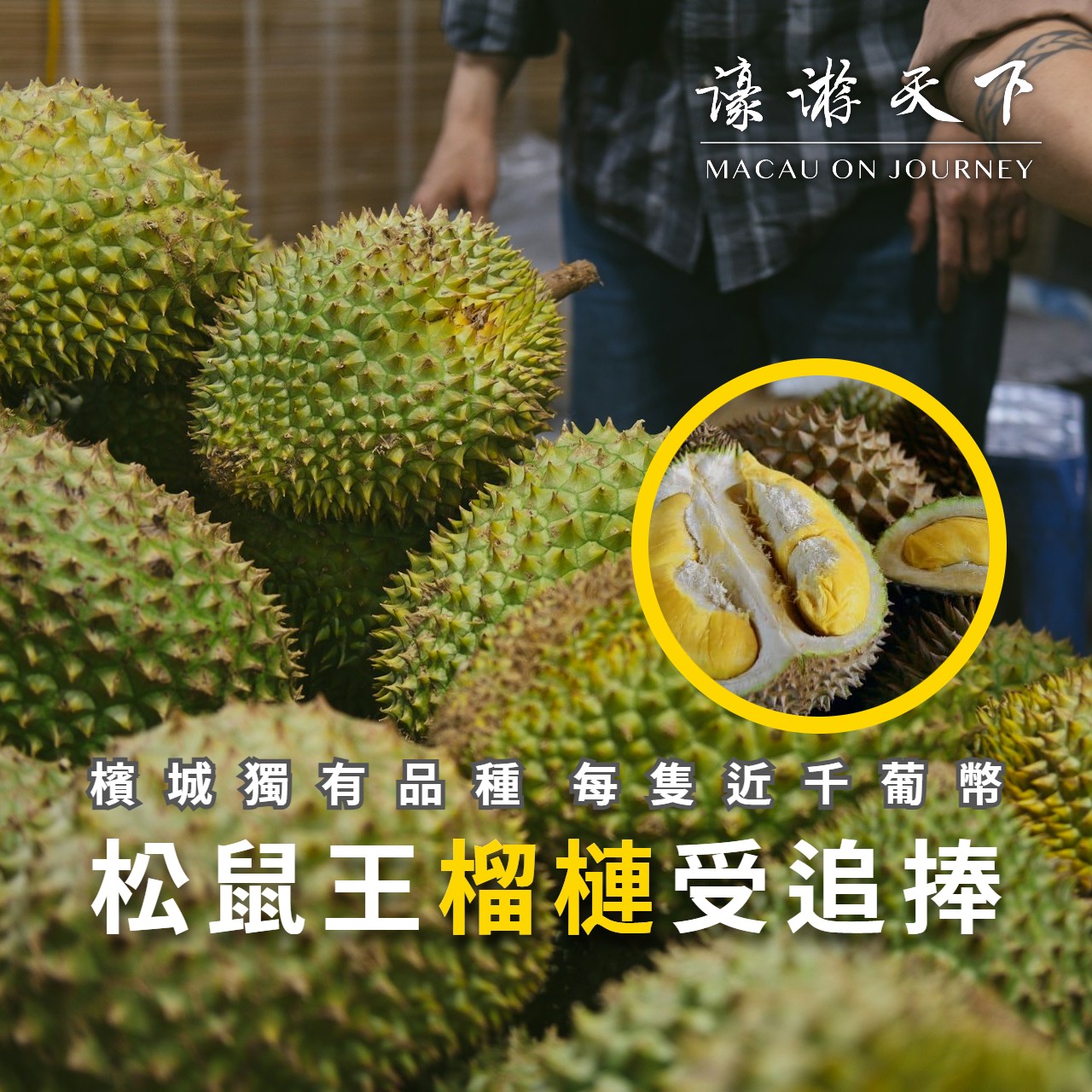 檳城獨有品種 每隻近千葡幣 松鼠王榴槤受追捧 | 濠遊天下 Macau on Journey,