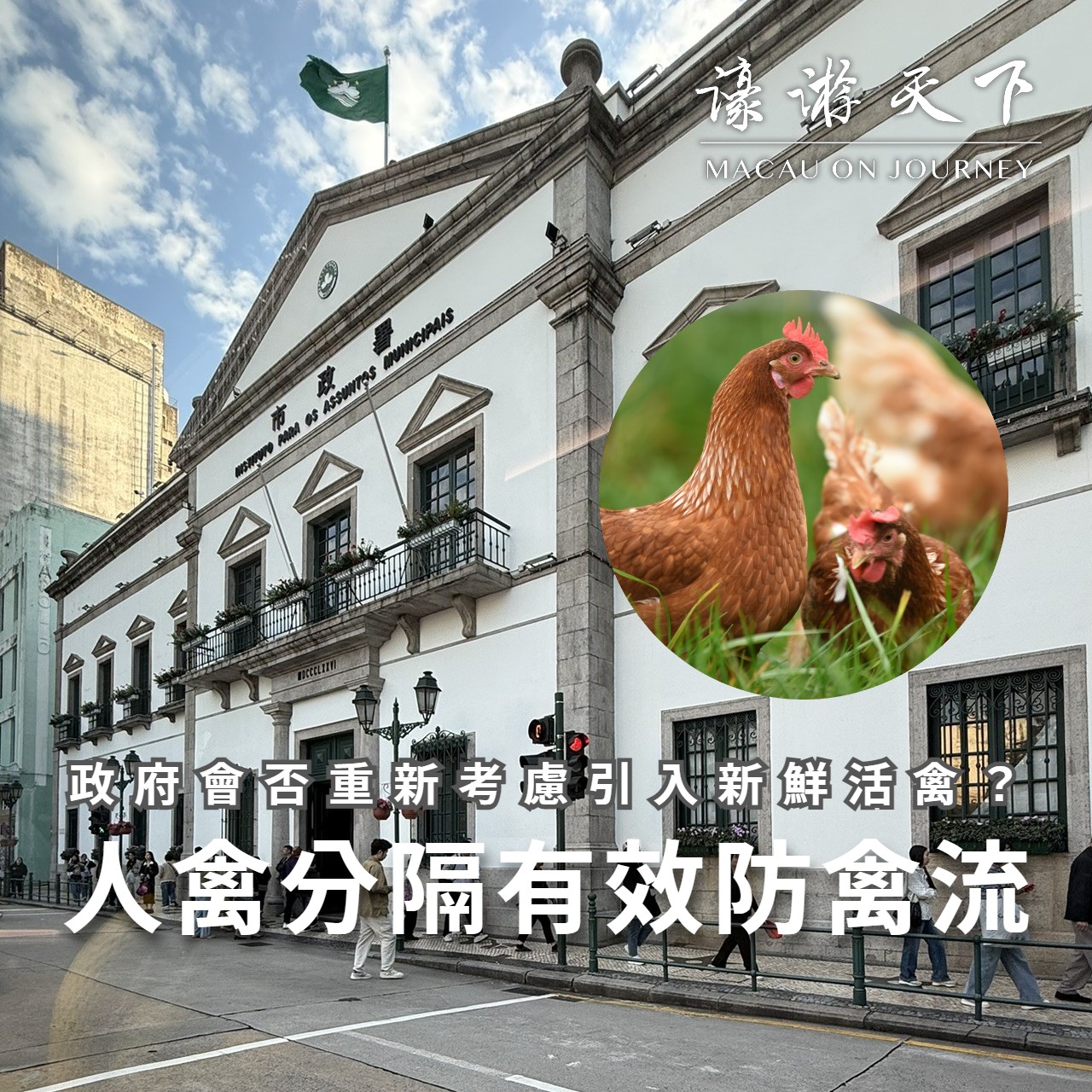 政府會否重新考慮引入新鮮活禽?人禽分隔有效防禽流 | 濠遊天下 Macau on Journey,